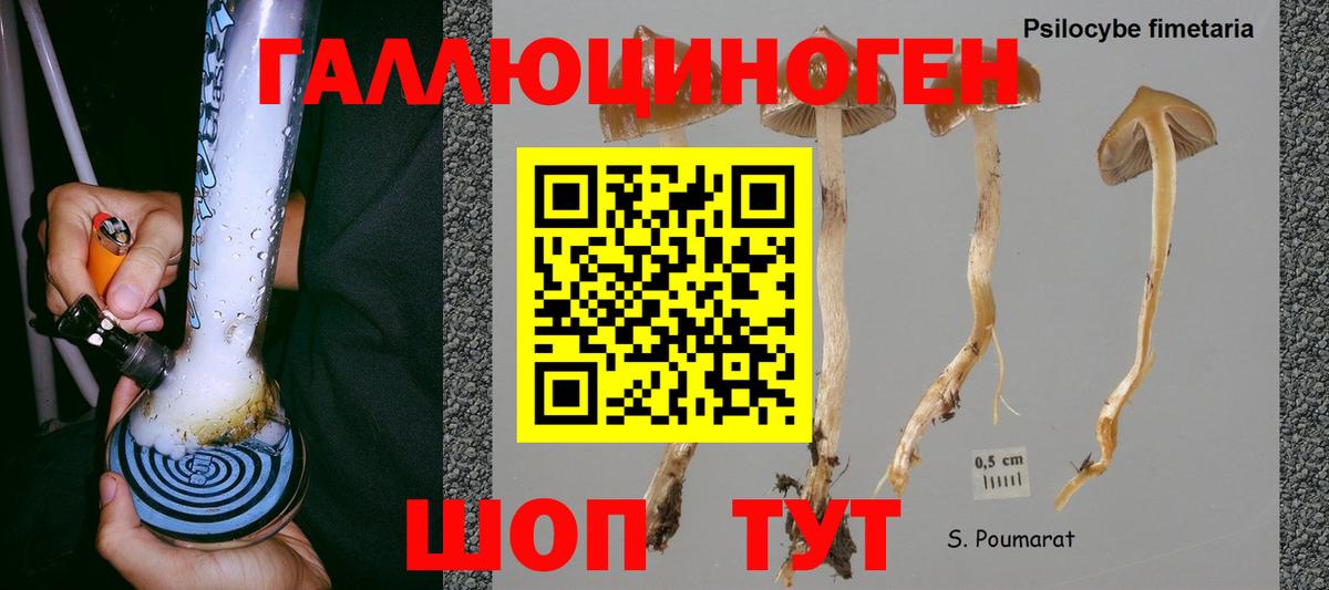 Шали  Галлюциногенные грибы мицелий  Вход с VPN 